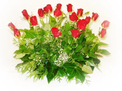 Centro bajo de veinticuatro rosas rojas con hiedra, hojas verdes y paniculata