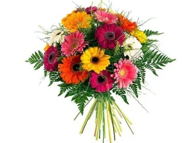 Ramo redondo de gerberas fucsia, rosas, naranjas, amarillas y blancas con helecho