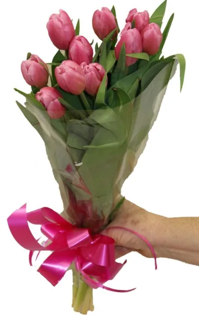 Ramo de tulipanes rosas en envoltorio transparente con lazo fucsia